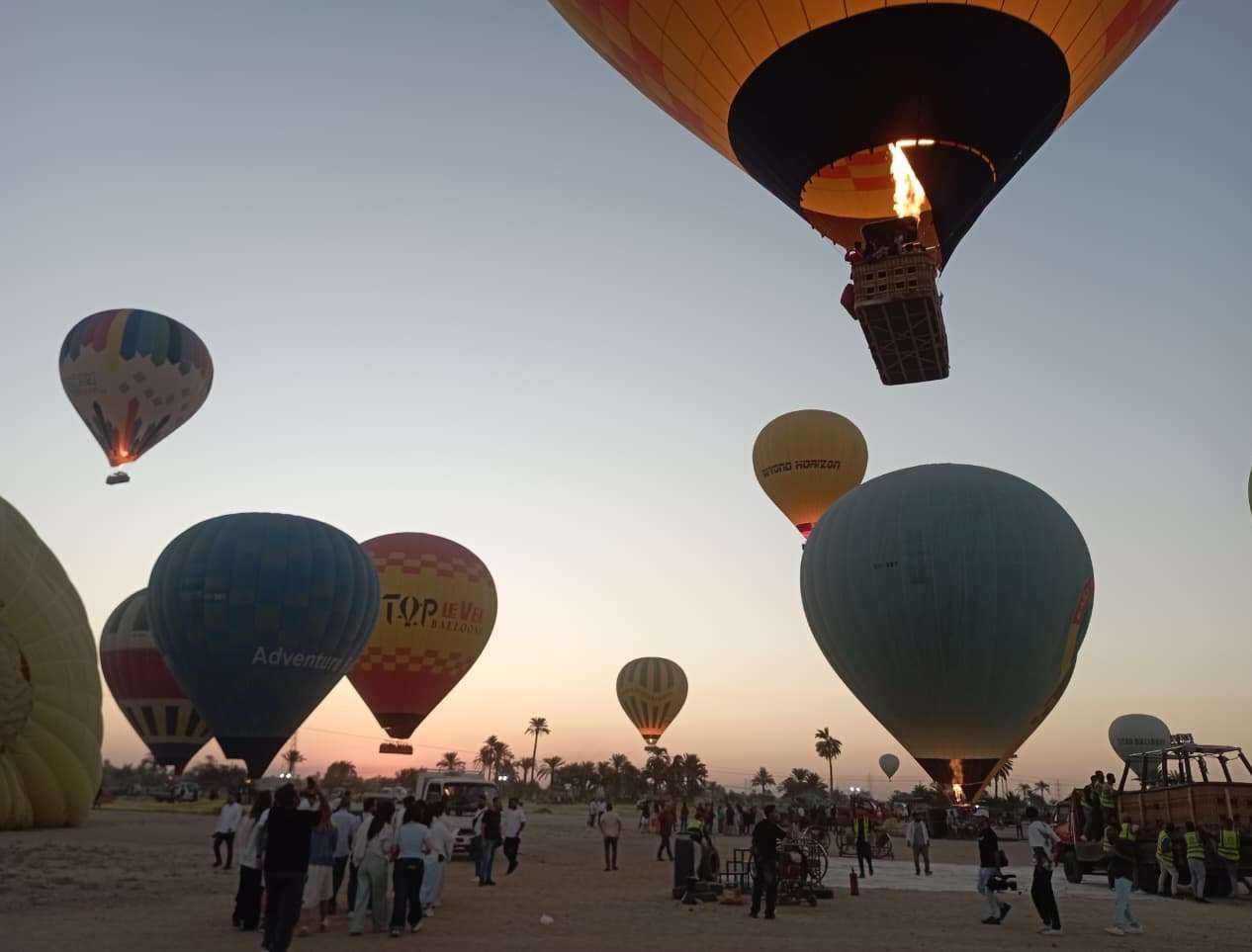 السياح ينتظرون التحليق فى رحلات البالون الطائر بالأقصر السياح ينتظرون التحليق فى رحلات البالون الطائر بالأقصر