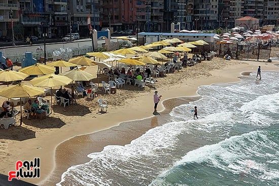 أجواء-الخريف-بالاسكندرية1 أجواء-الخريف-بالاسكندرية1