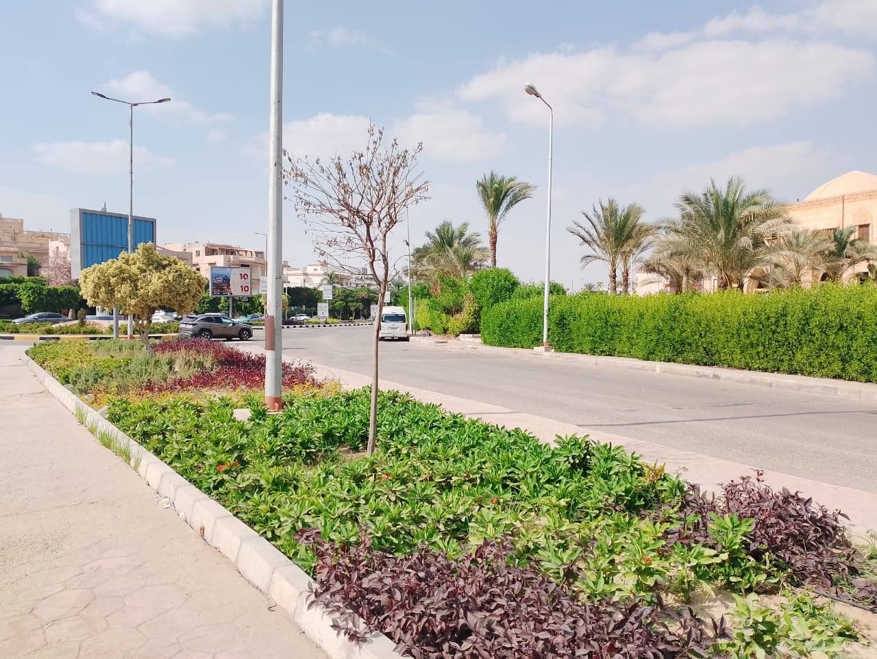 استمرار أعمال رفع كفاءة الجزر والميادين بمدينة الشروق استمرار أعمال رفع كفاءة الجزر والميادين بمدينة الشروق
