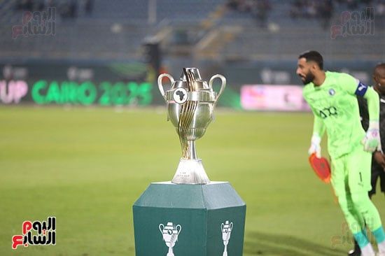 أحمد الشناوي أحمد الشناوي