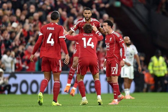احتفال لاعبى ليفربول احتفال لاعبى ليفربول