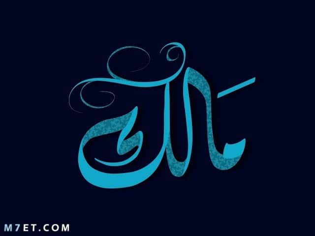 عيوب اسم مالك