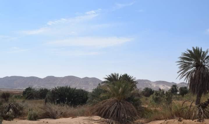 وادى مليحة بالغردقة بمنطقة كبة النخلة وادى مليحة بالغردقة بمنطقة كبة النخلة