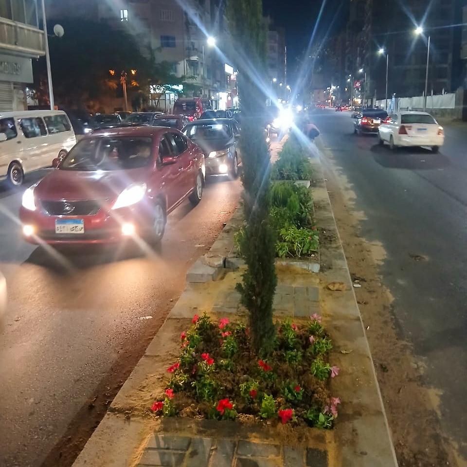 بدء زراعة الجزيرة الوسطى بمشروع توسعة شارع أبو قير بالإسكندرية (3) بدء زراعة الجزيرة الوسطى بمشروع توسعة شارع أبو قير بالإسكندرية (3)