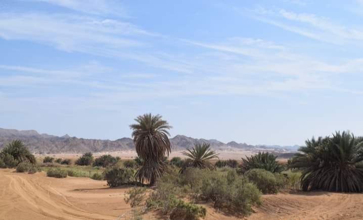 الطبيعة الخلابة بوادى مليحة الطبيعة الخلابة بوادى مليحة
