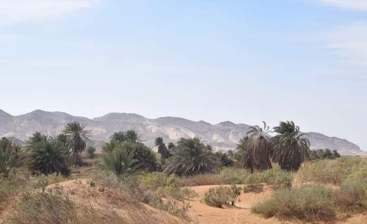 بها بحيرة مياه الأمطار بها بحيرة مياه الأمطار