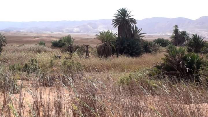 وادى مليحة بالغردقة وادى مليحة بالغردقة