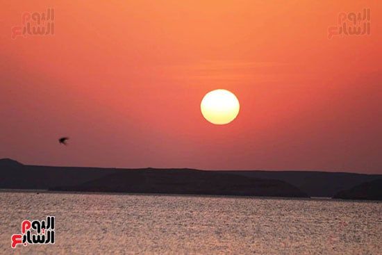 تعامد-الشمس-(5) تعامد-الشمس-(5)