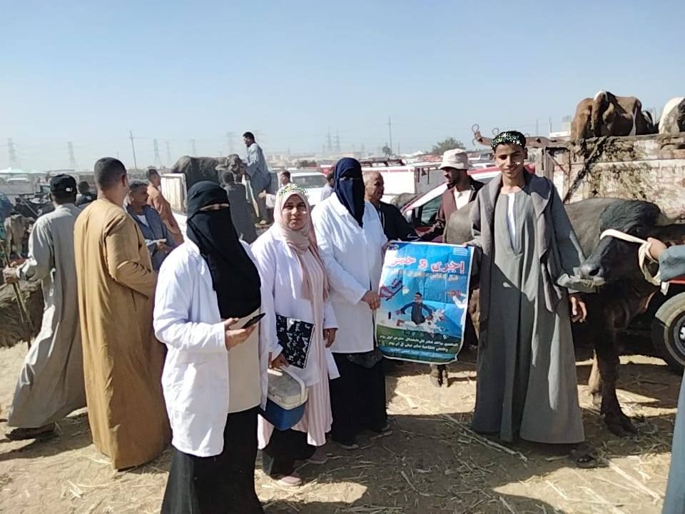 حملات توعية بسوق المواشي بكفر الشيخ حملات توعية بسوق المواشي بكفر الشيخ