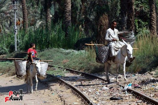 وسائل نقل البلح وسائل نقل البلح