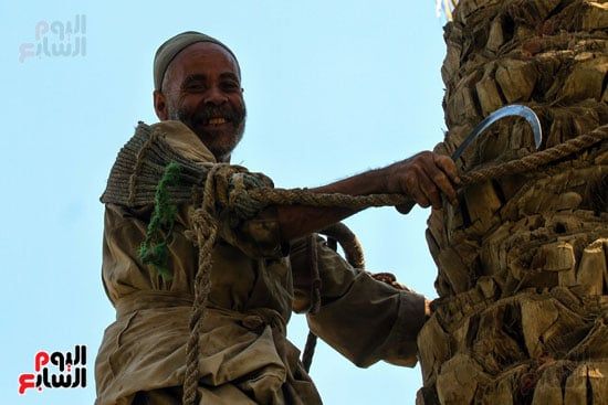 البسمة تكسو وجه عم حمدي البسمة تكسو وجه عم حمدي