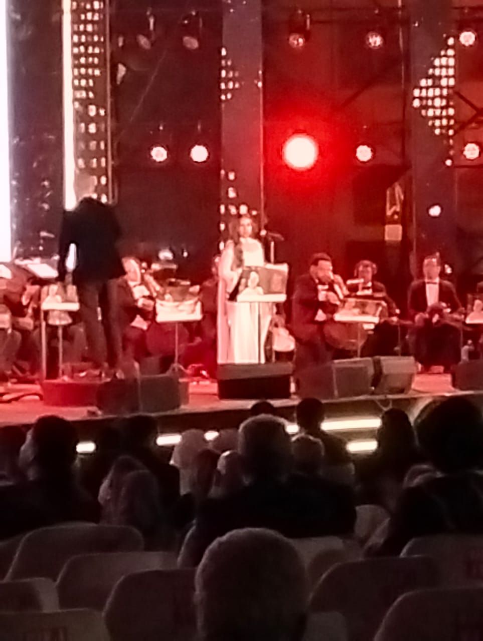 سوما تشعل حفل مهرجان الموسيقى العربية بأغنية لو كنا بنحبها (2) سوما تشعل حفل مهرجان الموسيقى العربية بأغنية لو كنا بنحبها (2)
