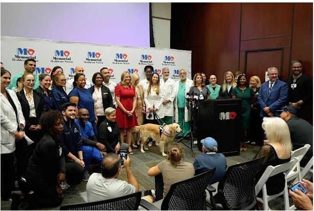 الفريق الطبى الفريق الطبى