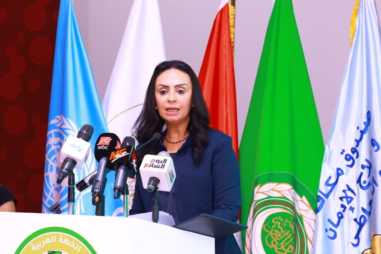 وزيرة التضامنن وزيرة التضامنن