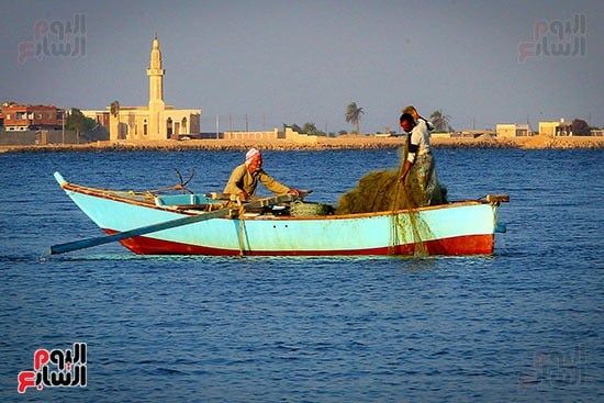 مشروعات إعادة التوازن البيئي أعادت الحياة لبحيرة قارون مشروعات إعادة التوازن البيئي أعادت الحياة لبحيرة قارون