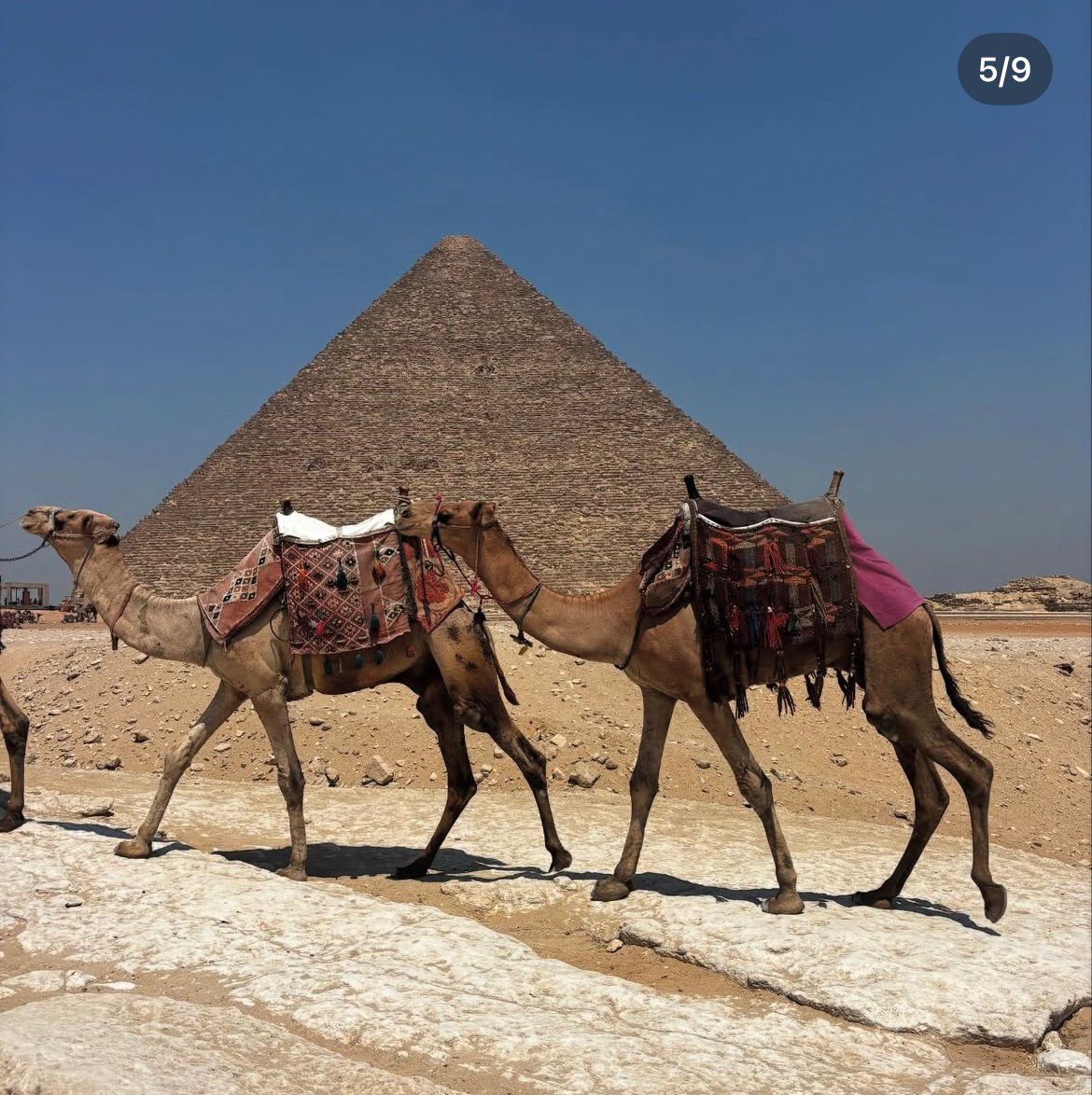 بيزيرا ووالده فى زيارة للأهرامات (4) بيزيرا ووالده فى زيارة للأهرامات (4)
