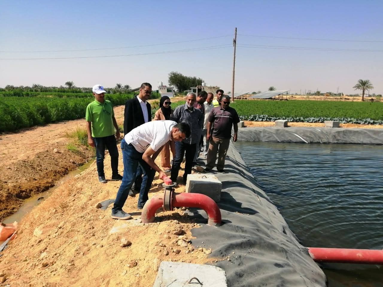 تشجيع عودة الإنتاج السمكي تشجيع عودة الإنتاج السمكي