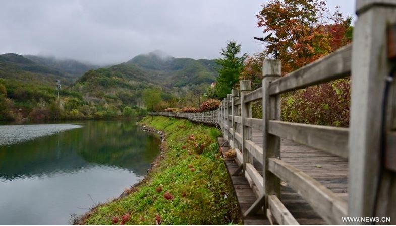 فصل الخريف يرسم لوحات بديعة على حدائق ومتنزهات الصين (6) فصل الخريف يرسم لوحات بديعة على حدائق ومتنزهات الصين (6)