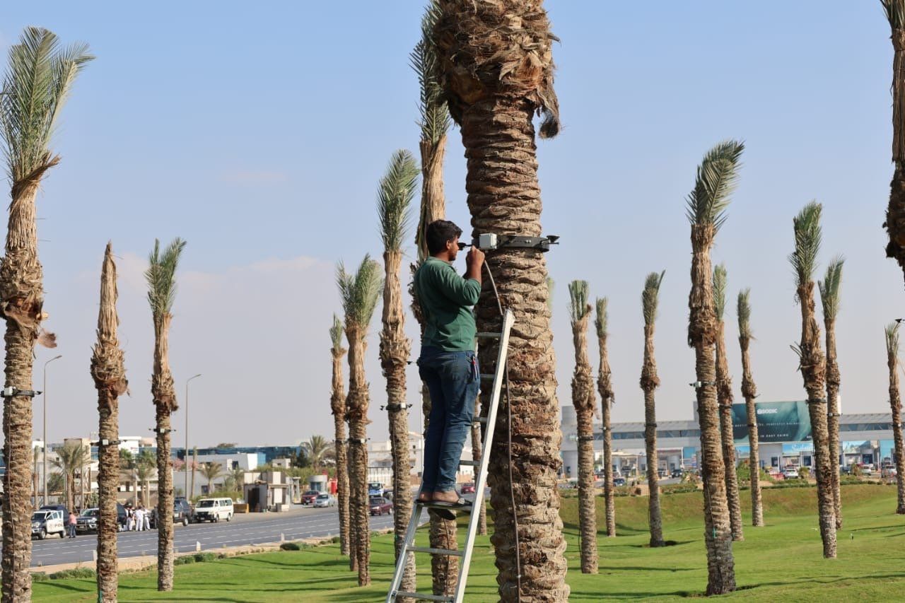 أعمال التطوير أعمال التطوير