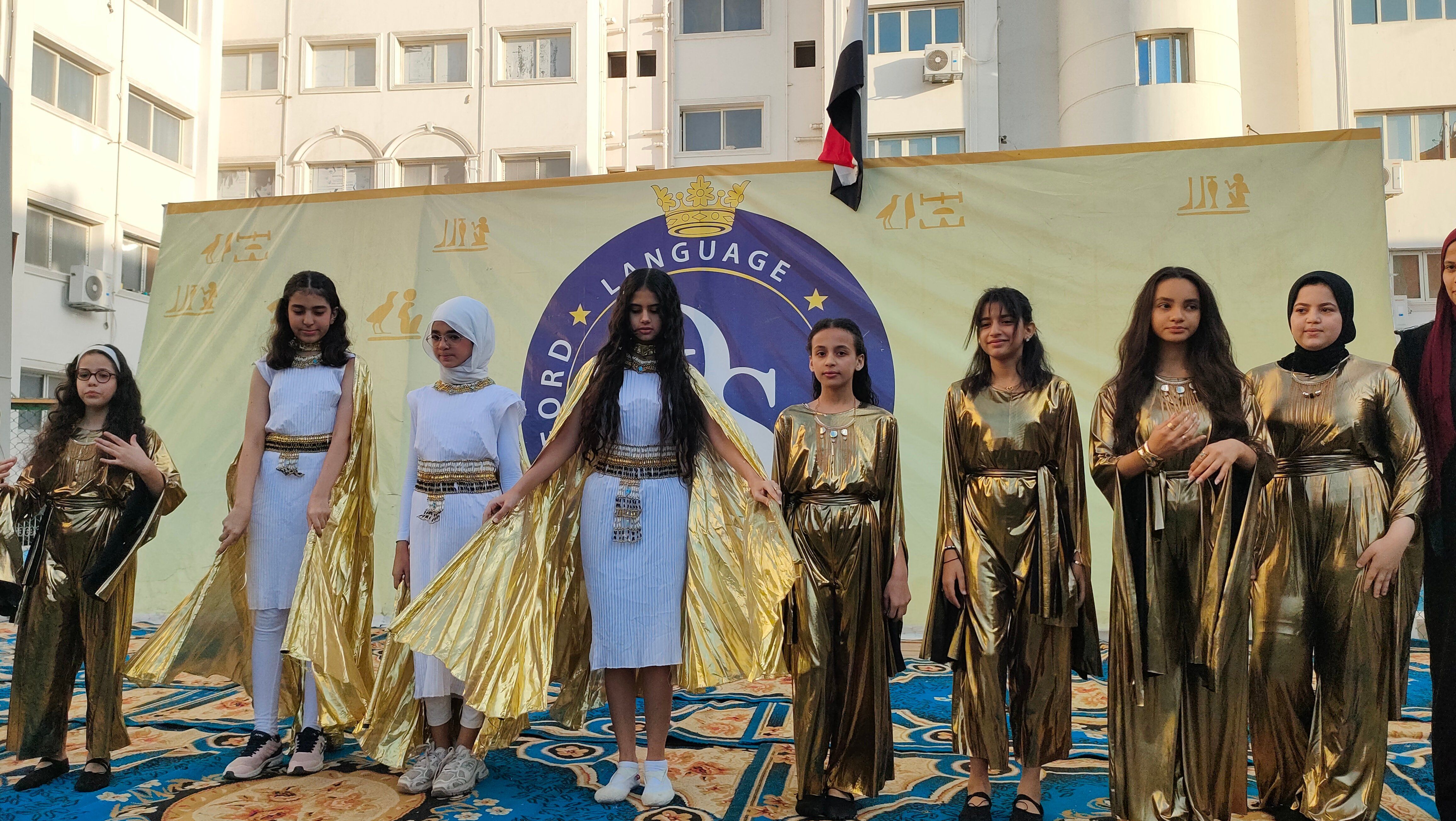 العروض الفنية العروض الفنية