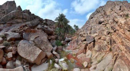 رسميًا.. انضمام “شمال الرياض جيوبارك” و”سلمى جيوبارك” إلى شبكة اليونسكو