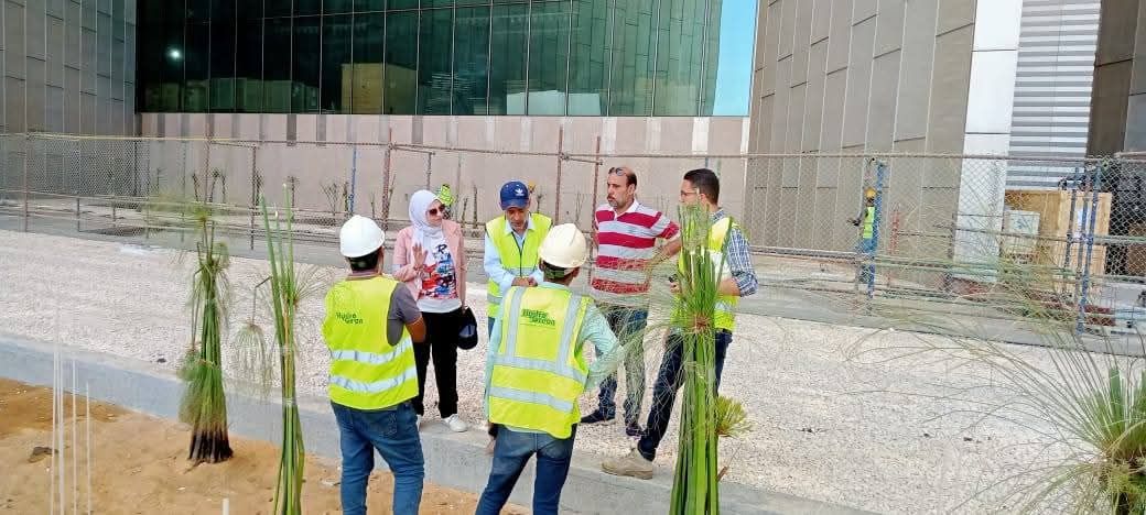 البردي في بهو المتحف البردي في بهو المتحف