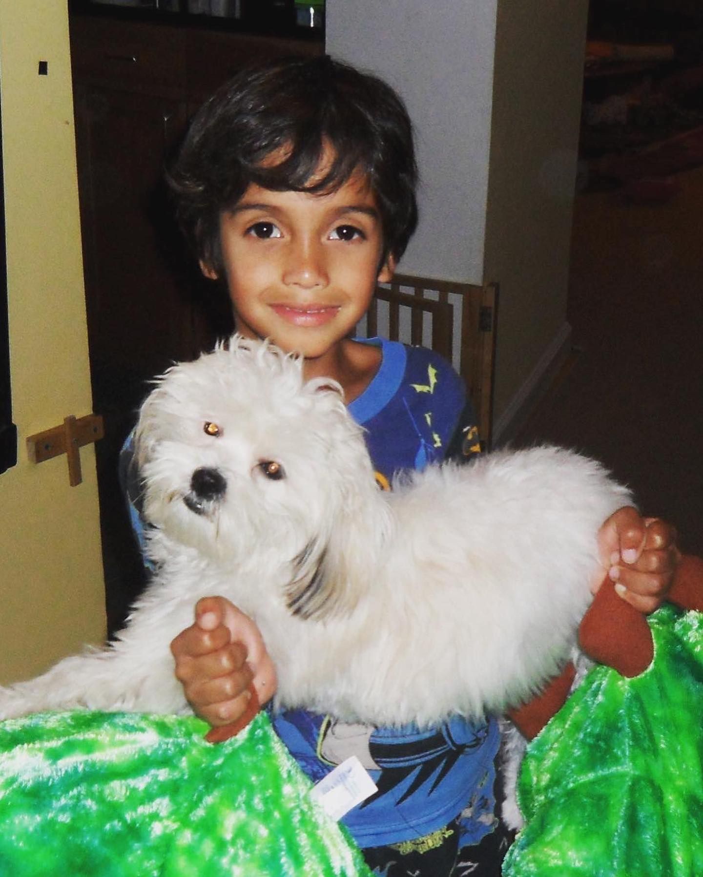 ليوناردو دي نيرو ليوناردو دي نيرو