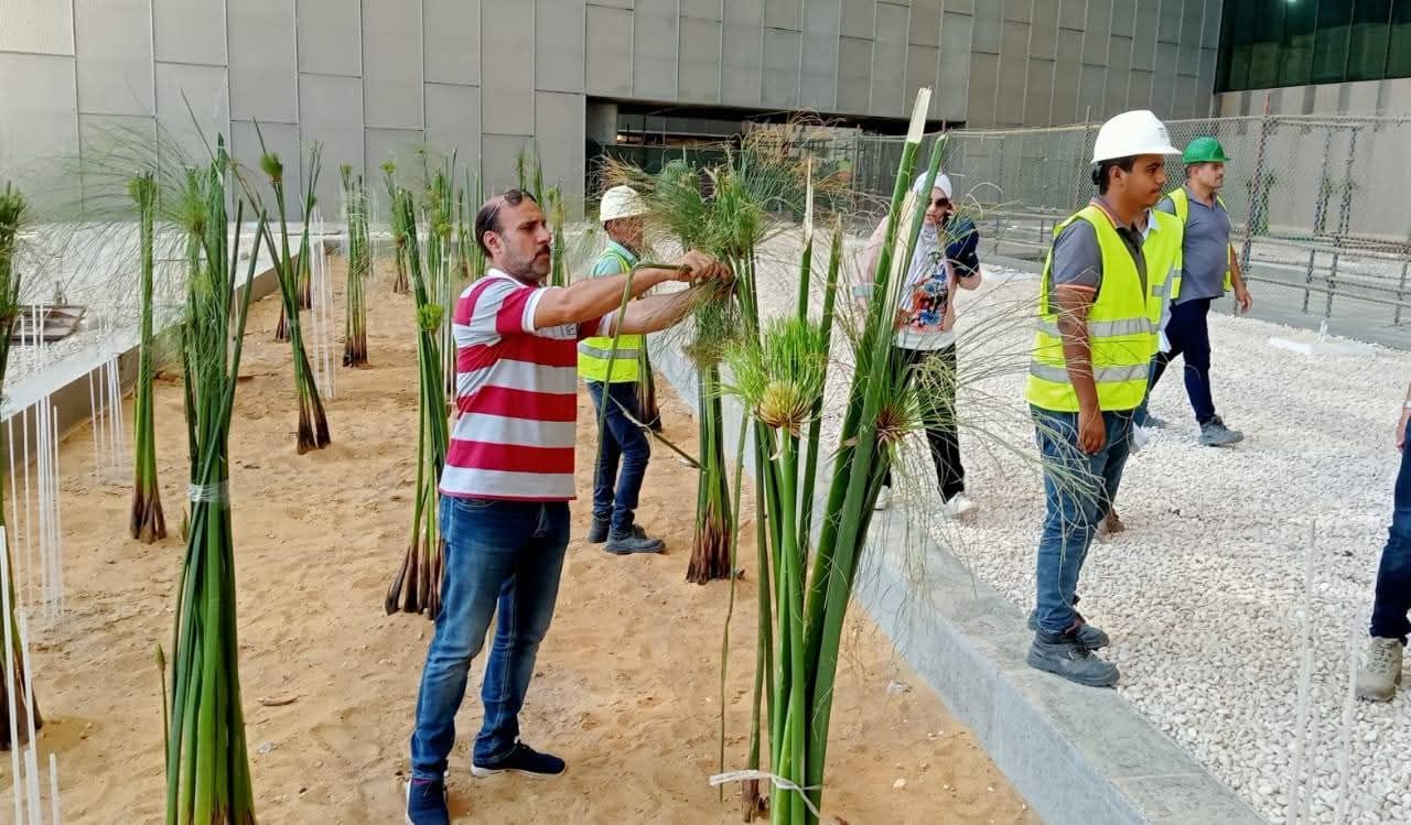 الاعنتاء بالبردي الاعنتاء بالبردي