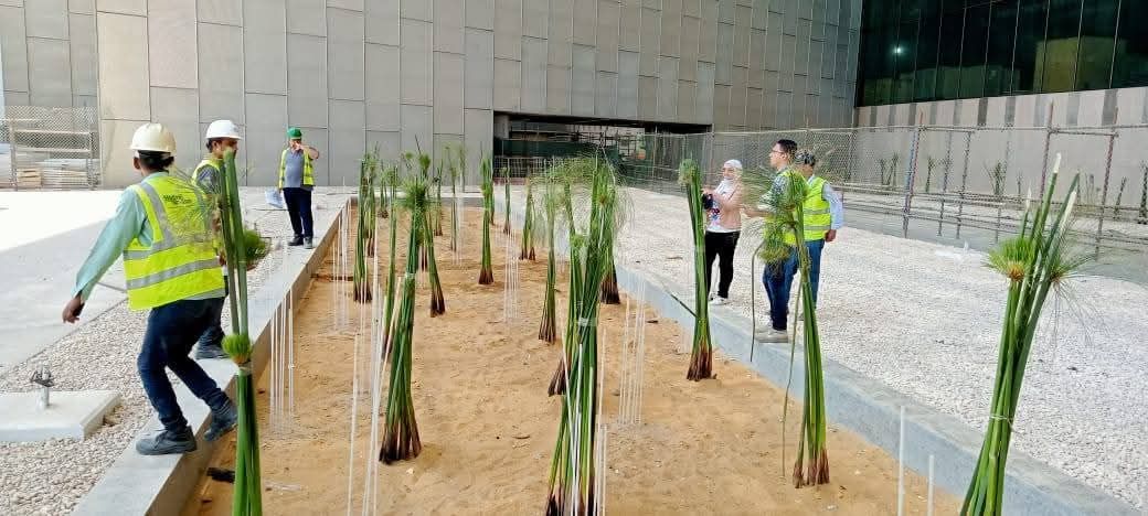 بنات البردي يجسد براعة المصريين بنات البردي يجسد براعة المصريين