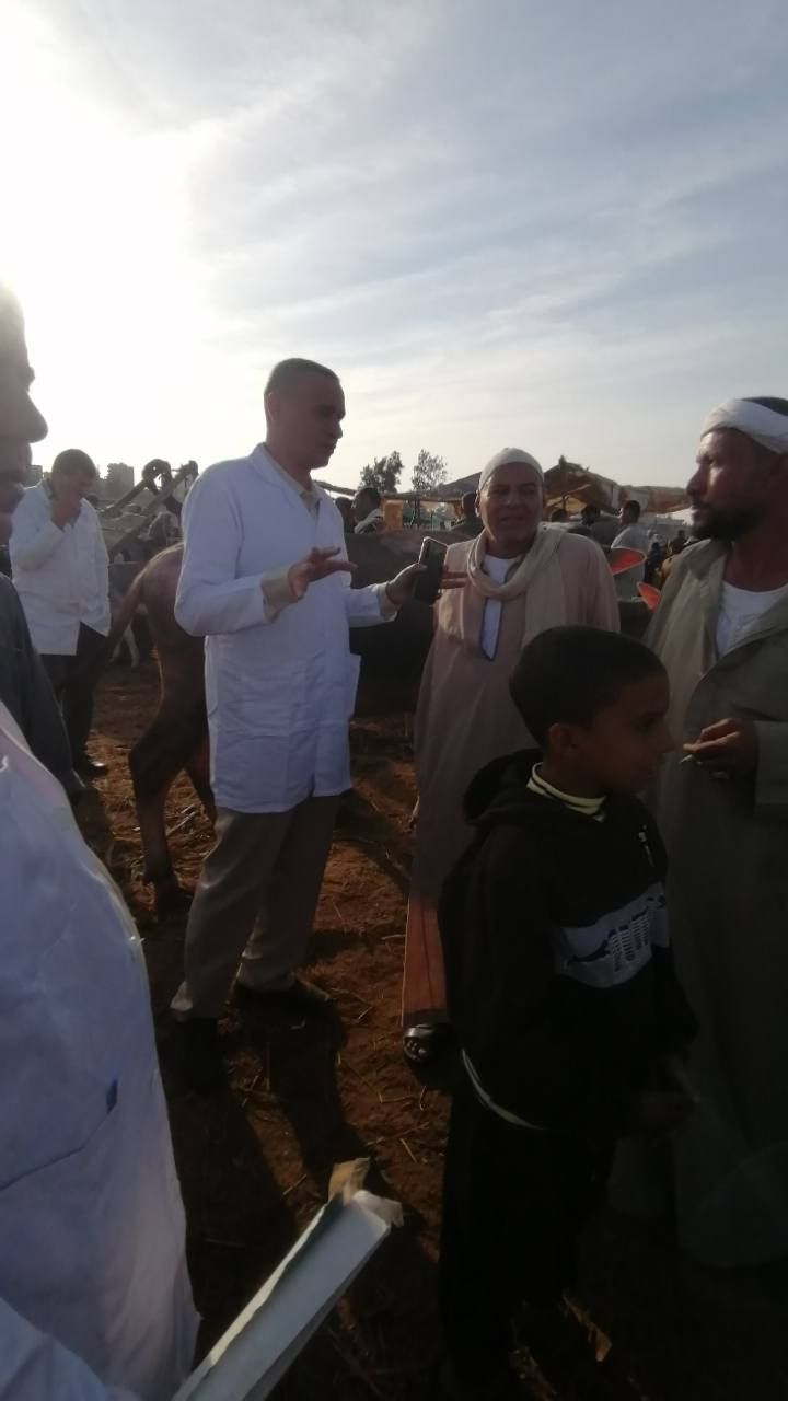 توعية المزارعين بأهمية تحصين الماشية بسوق سيدي سالم