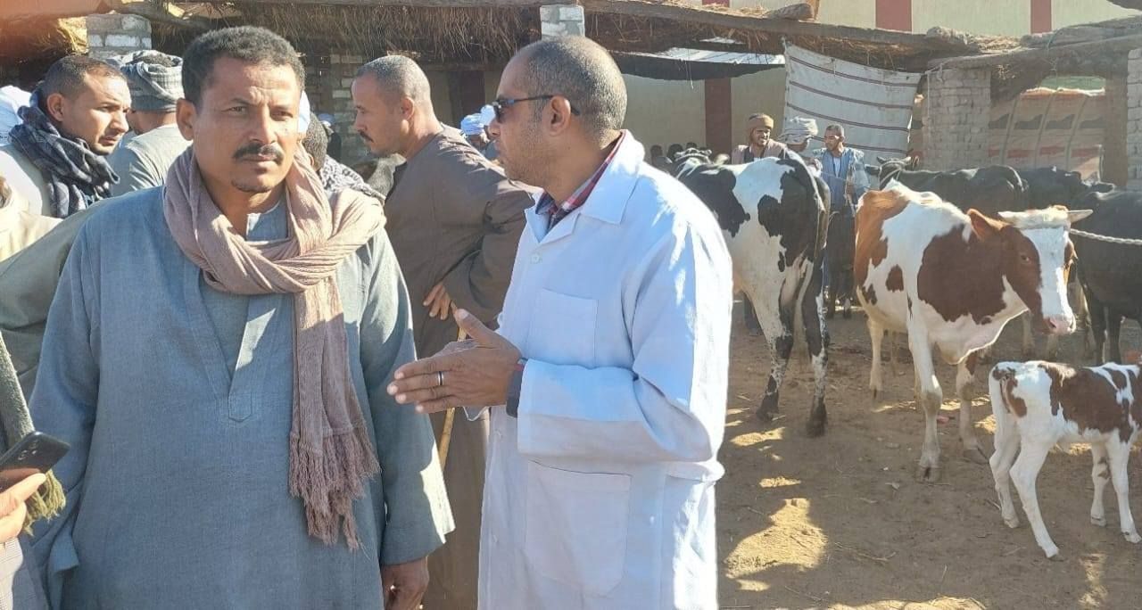 تحصينات للماشية وتوعية لأصحابها في الأسواق ضد الأمراض الوبائية بالأقصر تحصينات للماشية وتوعية لأصحابها في الأسواق ضد الأمراض الوبائية بالأقصر