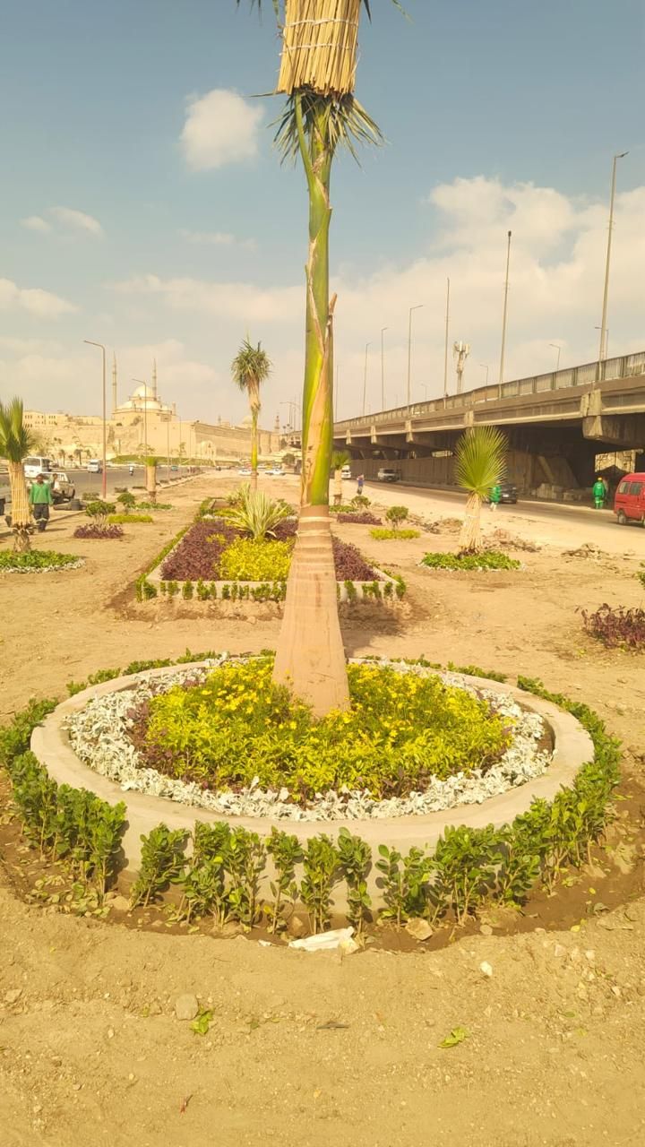 انطلاق المرحلة الرابعة من المبادرة الرئاسية 100 مليون شجرة في الفيوم (2) انطلاق المرحلة الرابعة من المبادرة الرئاسية 100 مليون شجرة في الفيوم (2)