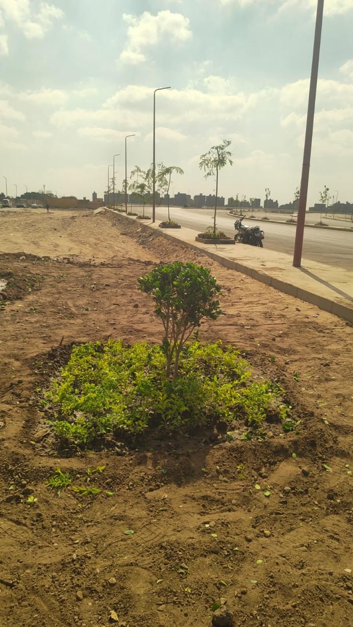 انطلاق المرحلة الرابعة من المبادرة الرئاسية 100 مليون شجرة في الفيوم (1) انطلاق المرحلة الرابعة من المبادرة الرئاسية 100 مليون شجرة في الفيوم (1)