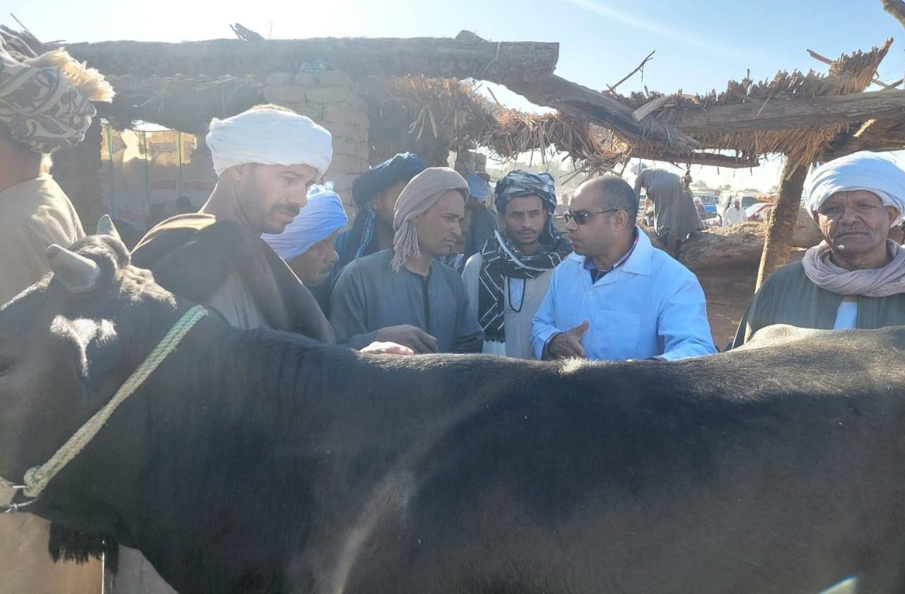 تحصينات للماشية وتوعية لأصحابها في الأسواق ضد الأمراض الوبائية تحصينات للماشية وتوعية لأصحابها في الأسواق ضد الأمراض الوبائية