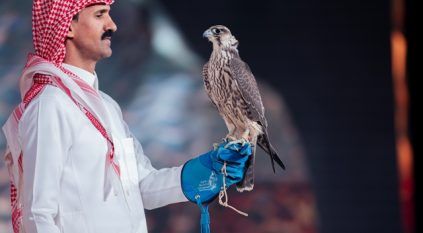 بيع صقرين بـ 236 ألف ريال في الليلة الـ 18 لمزاد نادي الصقور