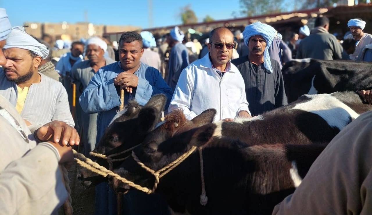 فرق الطب البيطرى بالأقصر تقدم تحصينات للماشية وتوعية لأصحابها فرق الطب البيطرى بالأقصر تقدم تحصينات للماشية وتوعية لأصحابها