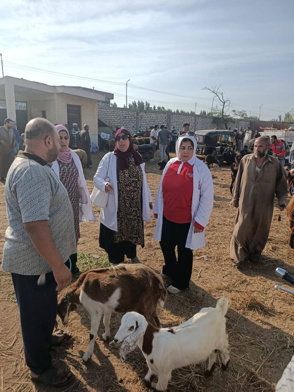 قافلة بيطرية بسوق بيلا للماشية