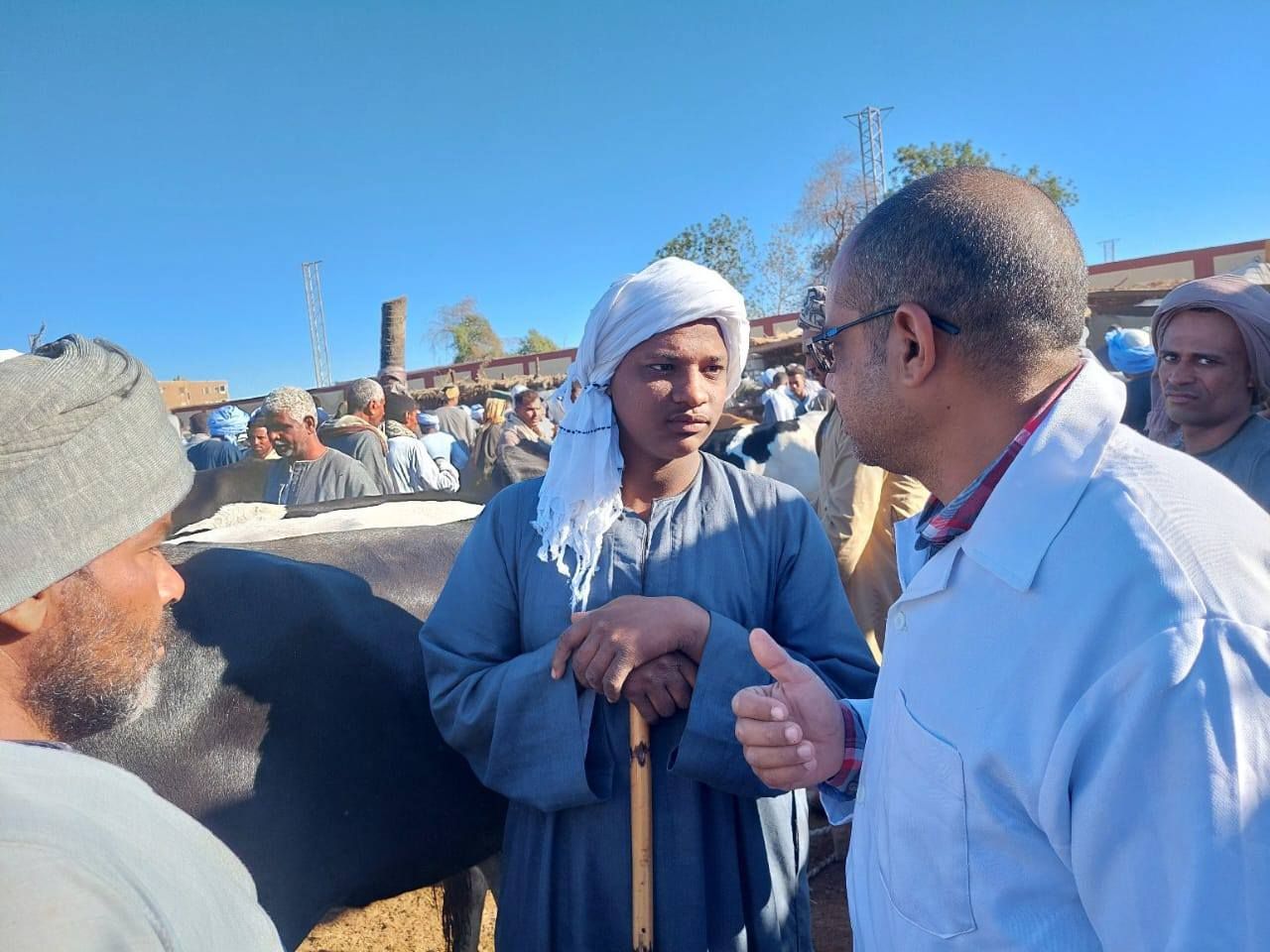 حملات التوعية لأصحاب الماشية في الأسواق ضد الأمراض الوبائية حملات التوعية لأصحاب الماشية في الأسواق ضد الأمراض الوبائية