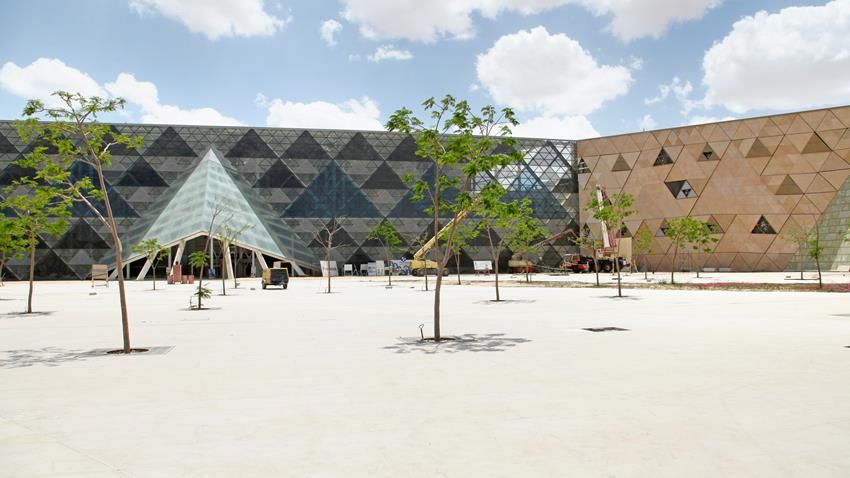 زراعة الاشجار فى محيط المتحف