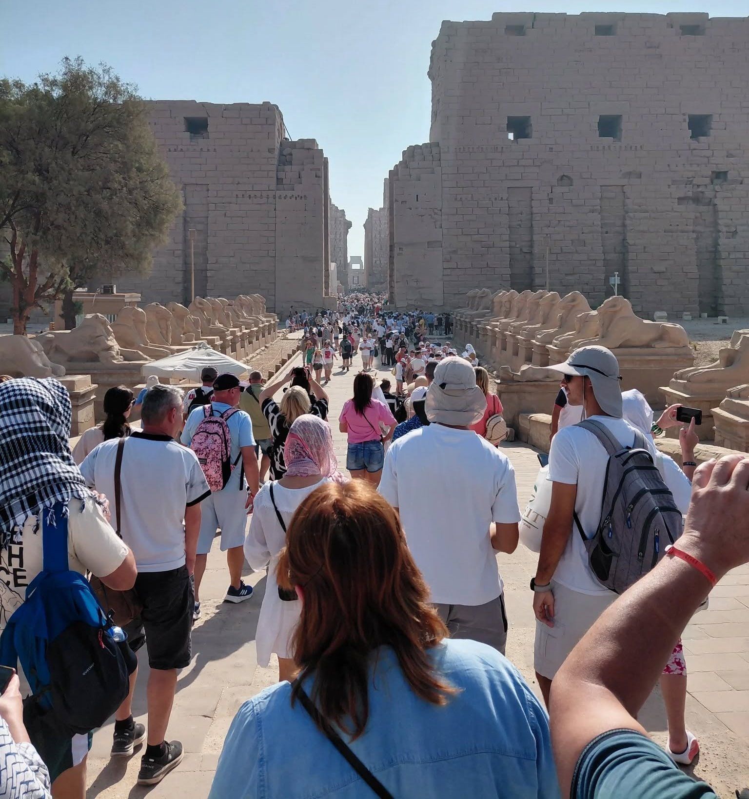 توافد السائحين على معابد الأقصر توافد السائحين على معابد الأقصر