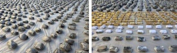 d6bbcbad-2846-4327-ae71-f24c021859d5 d6bbcbad-2846-4327-ae71-f24c021859d5