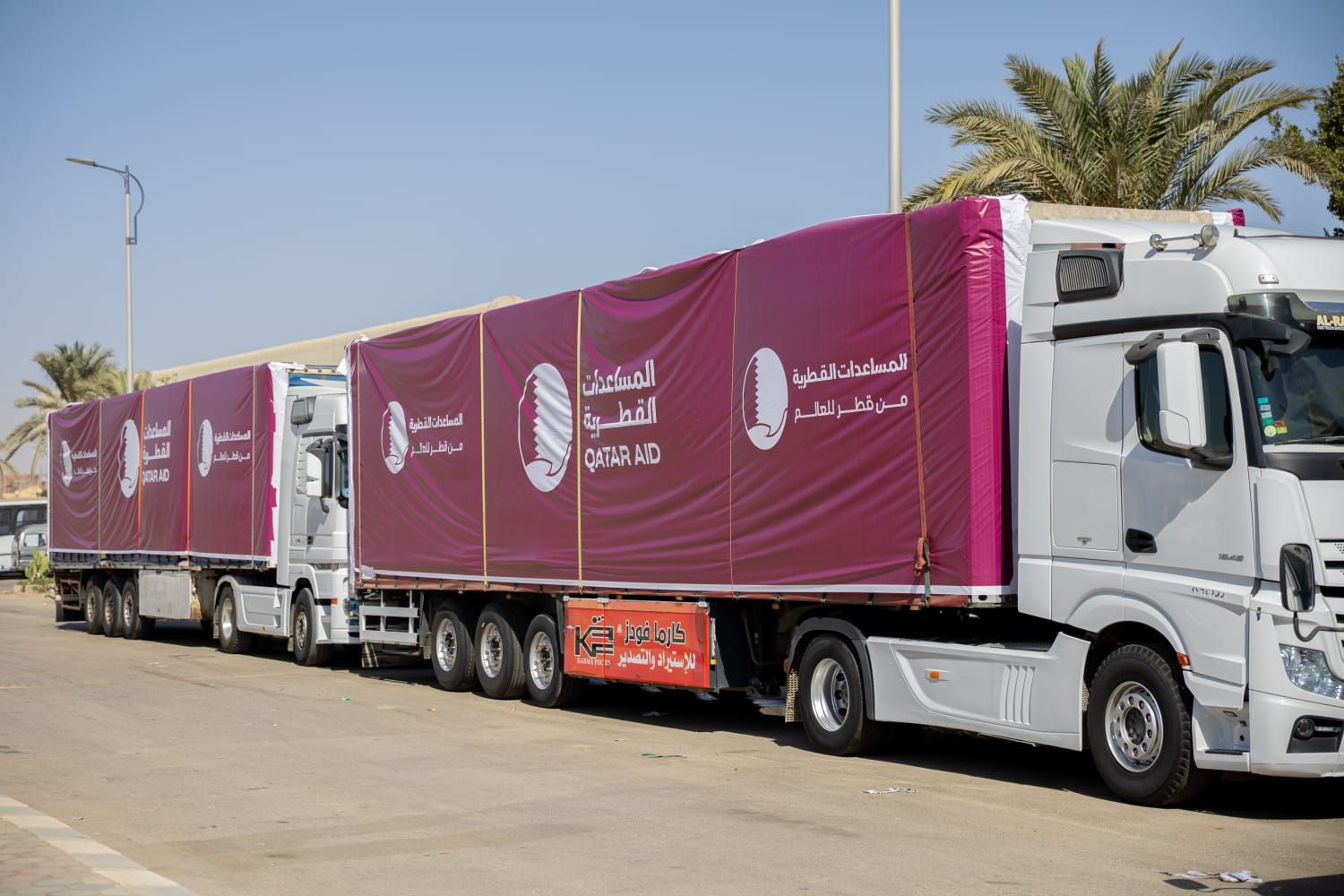 1000256743 1000256743