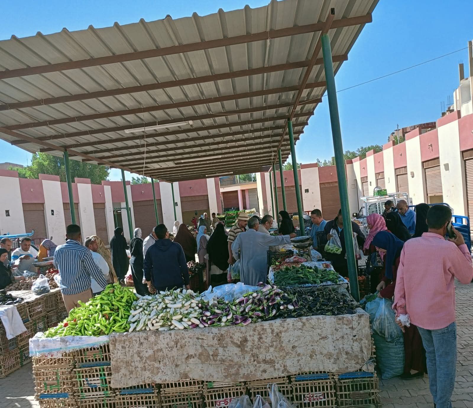 أسواق اليوم الواحد في الوادي الجديد (10) أسواق اليوم الواحد في الوادي الجديد (10)