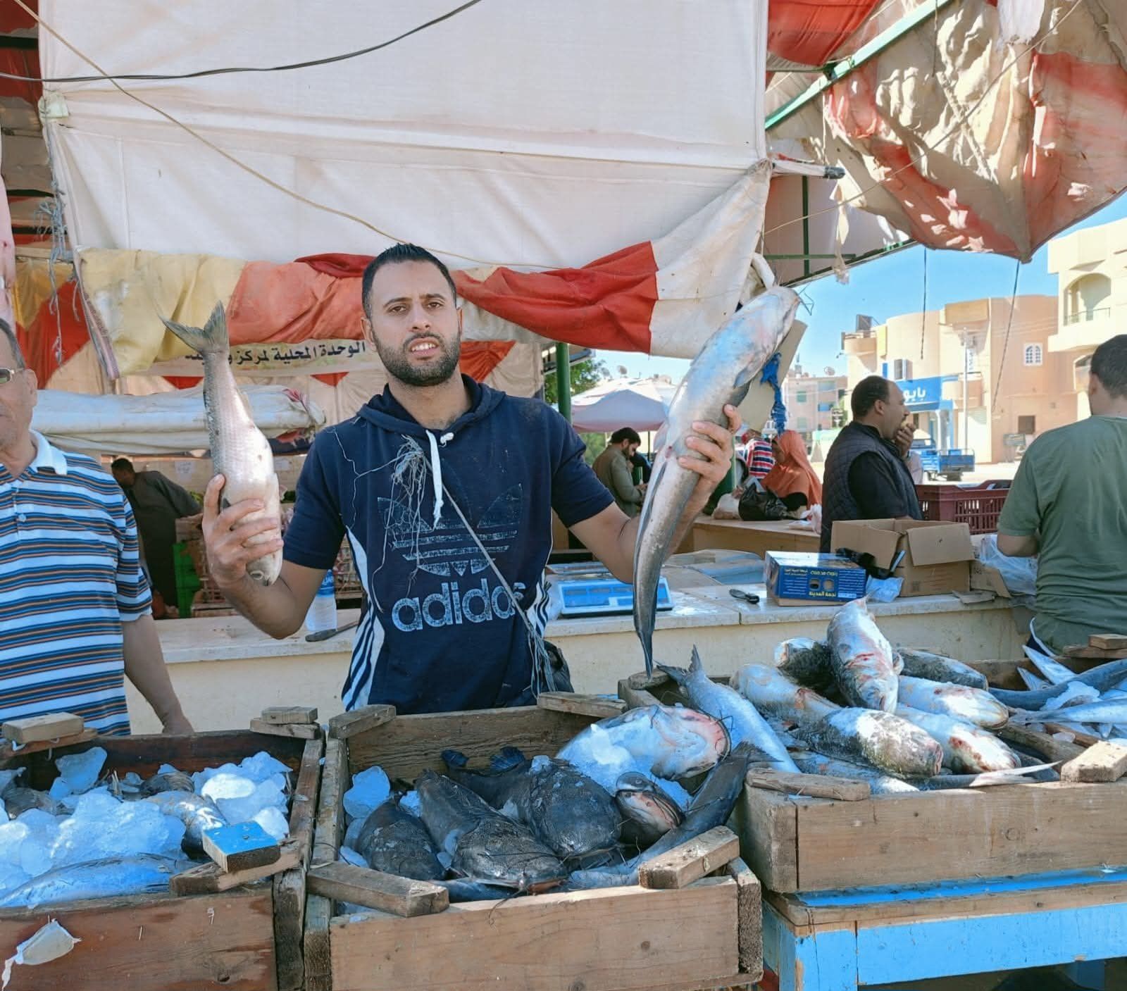 أسواق اليوم الواحد في الوادي الجديد (14) أسواق اليوم الواحد في الوادي الجديد (14)