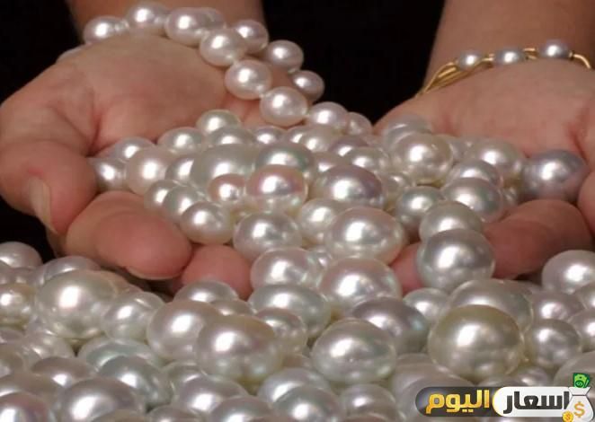 أسعار اللؤلؤ