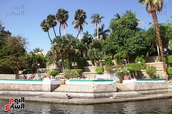 الحديقة-النباتية-فى-أسوان_1