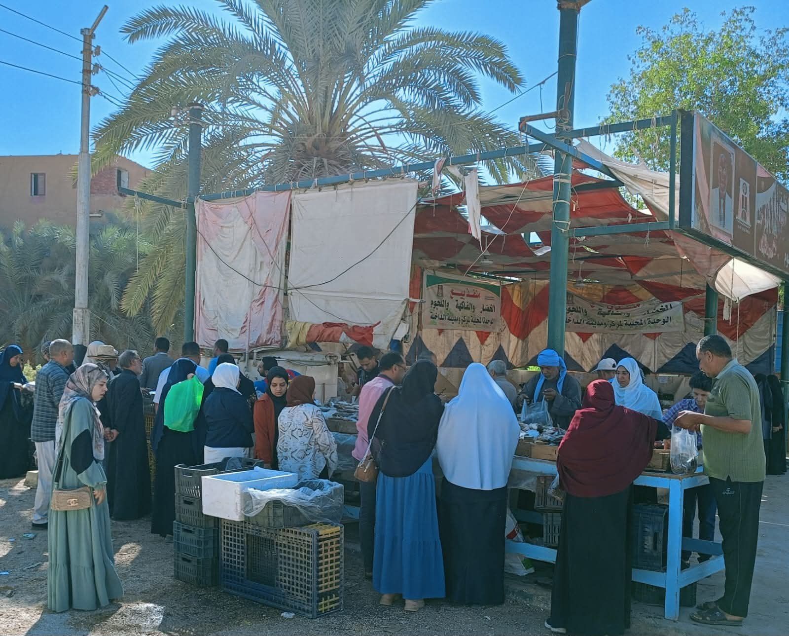 أسواق اليوم الواحد في الوادي الجديد (5) أسواق اليوم الواحد في الوادي الجديد (5)