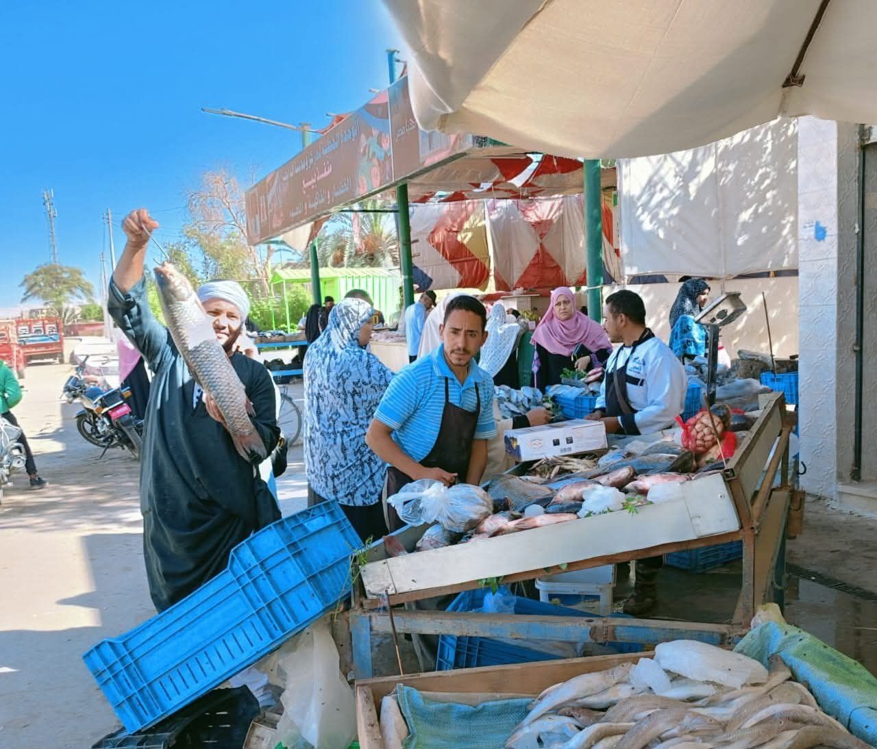 أسواق اليوم الواحد في الوادي الجديد (16) أسواق اليوم الواحد في الوادي الجديد (16)