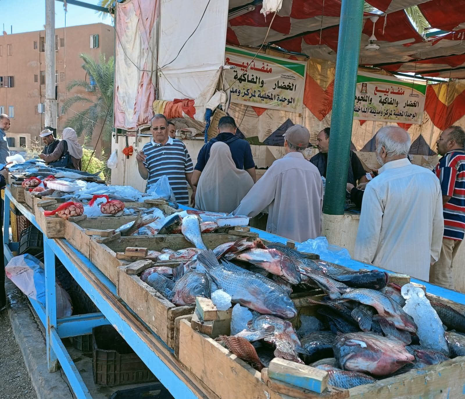 أسواق اليوم الواحد في الوادي الجديد (13) أسواق اليوم الواحد في الوادي الجديد (13)