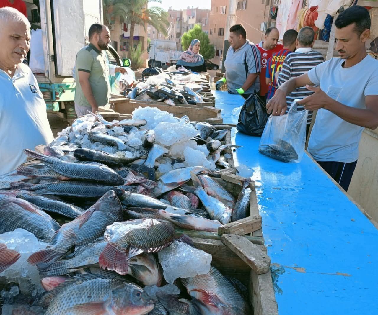 أسواق اليوم الواحد في الوادي الجديد (15) أسواق اليوم الواحد في الوادي الجديد (15)